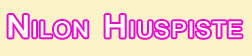 Nilon Hiuspiste Ky logo